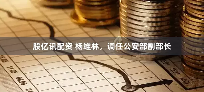 股亿讯配资 杨维林，调任公安部副部长